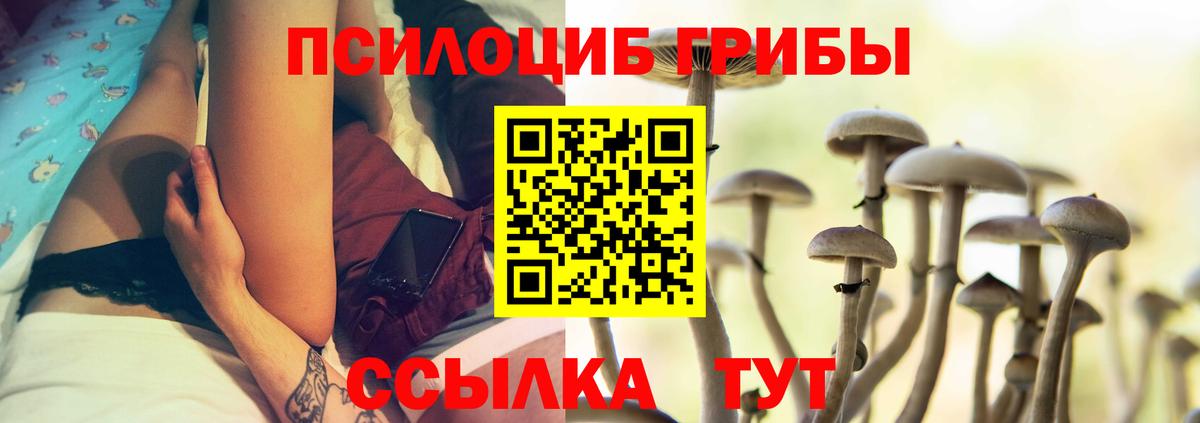 Энгельс  Псилоцибиновые грибы прущие грибы  Вход с VPN 